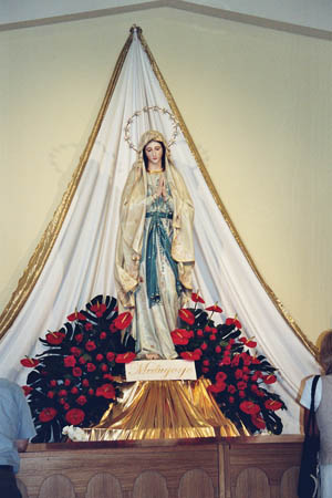 017 - Madonnina in S. Giacomo